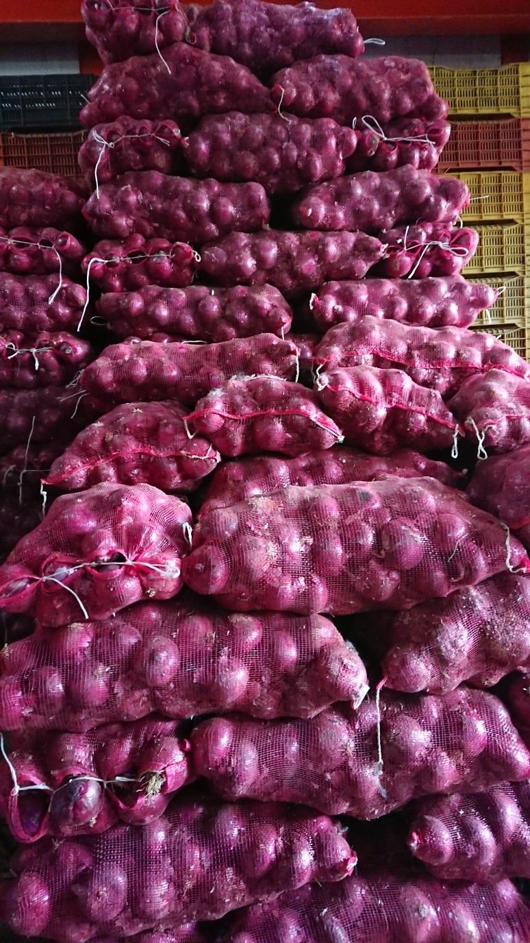 Fresh Onions & Garlic